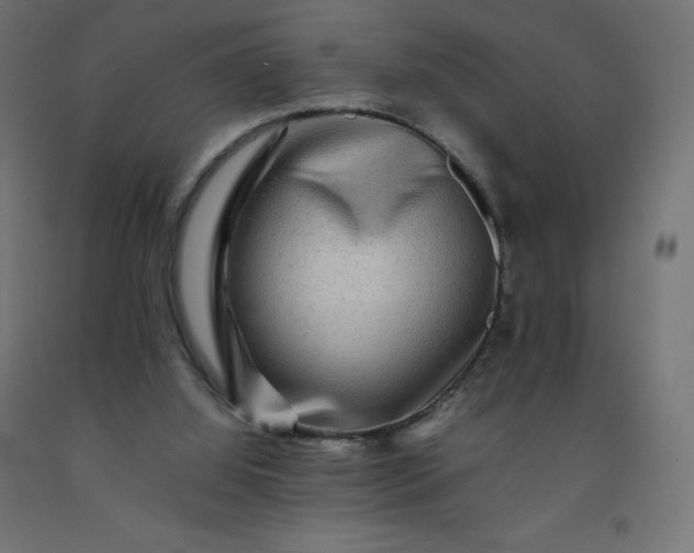 X0000092270060200709281233