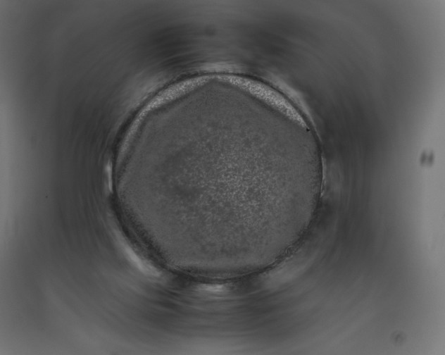 X0000092270061200709281233