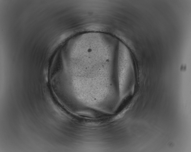 X0000092270062200709281233