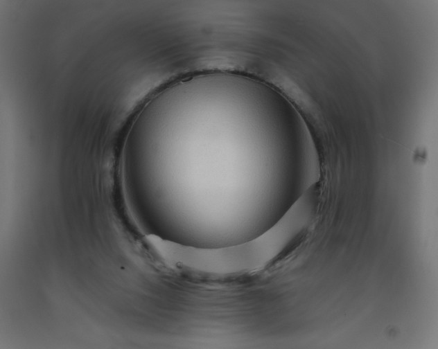 X0000092270064200709281233