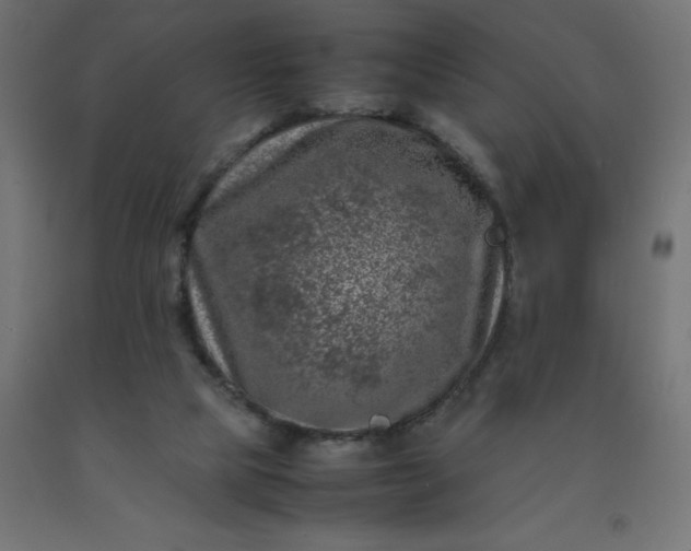 X0000092270065200709281233