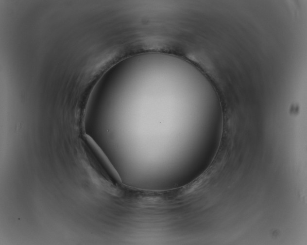 X0000092270066200709281233