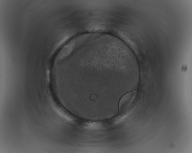 X0000092270067200709281233