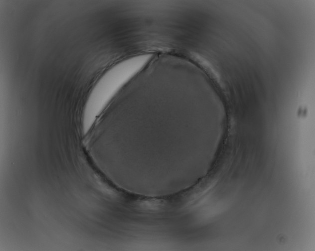 X0000092270069200709281233