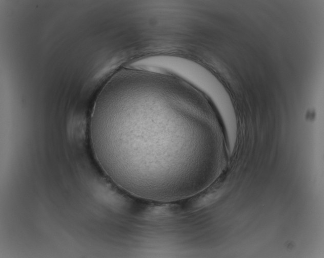 X0000092270072200709281233