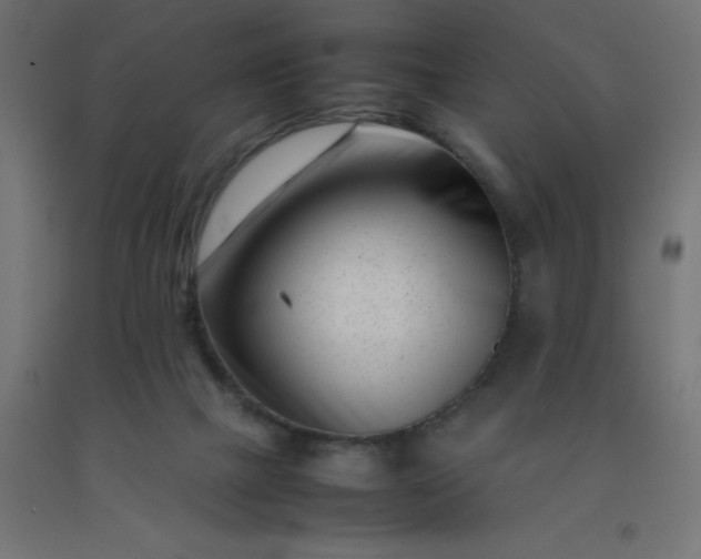 X0000092270073200709281233