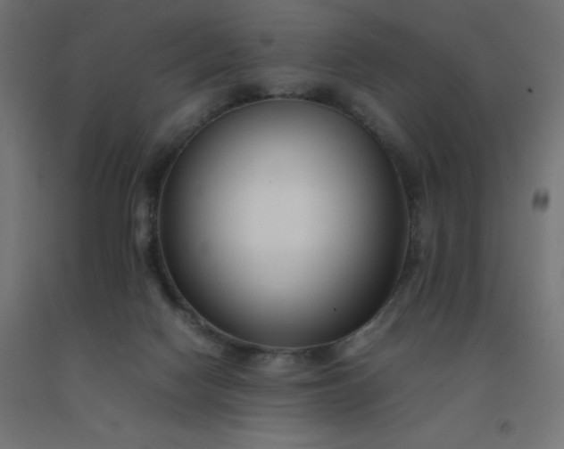 X0000092270074200709281233
