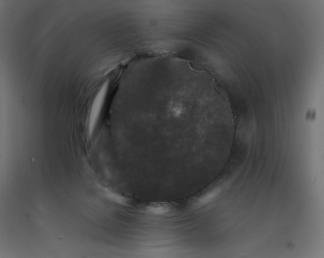 X0000092270076200709281233