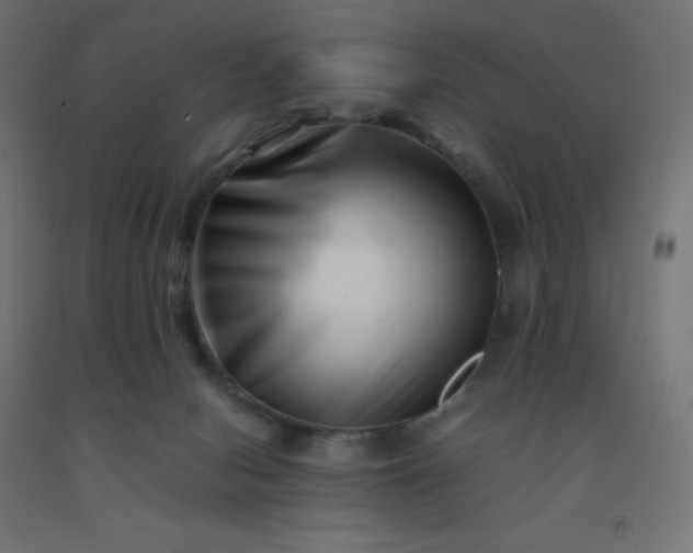 X0000092270078200709281233