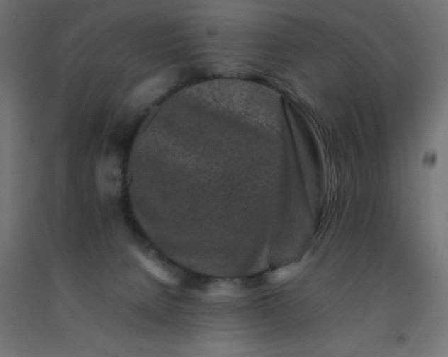 X0000092270080200709281233