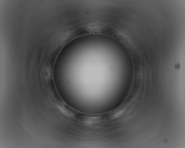 X0000092270081200709281233