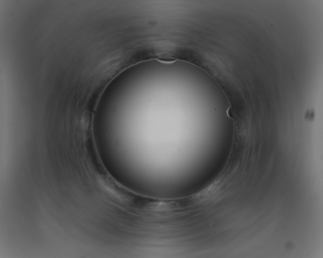 X0000092270082200709281233
