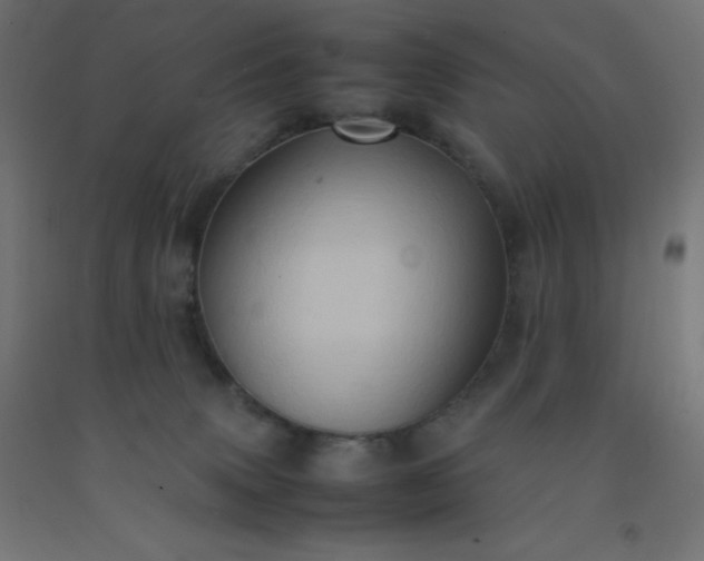 X0000092270083200709281233