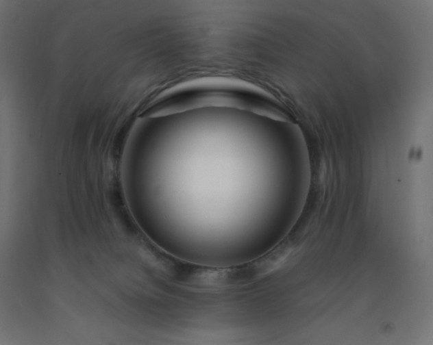 X0000092270084200709281233