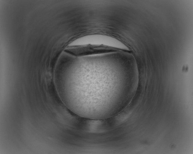 X0000092270085200709281233