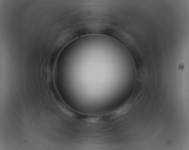 X0000092270086200709281233