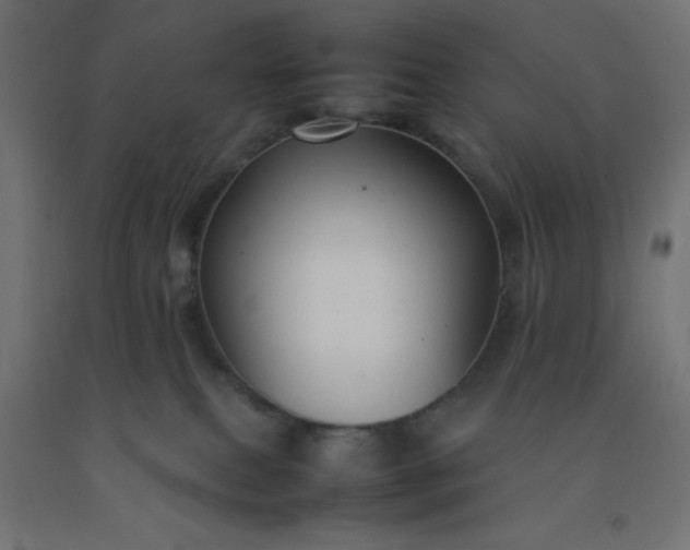 X0000092270087200709281233