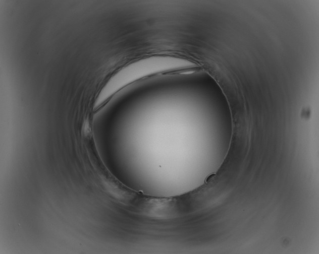 X0000092270089200709281233