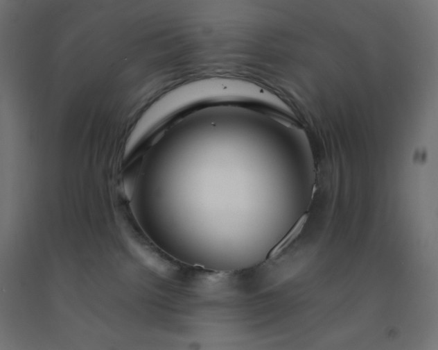 X0000092270092200709281233