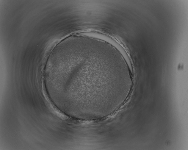 X0000092270097200709281232