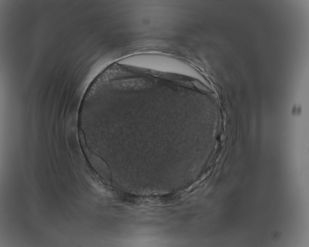 X0000092270099200709281232