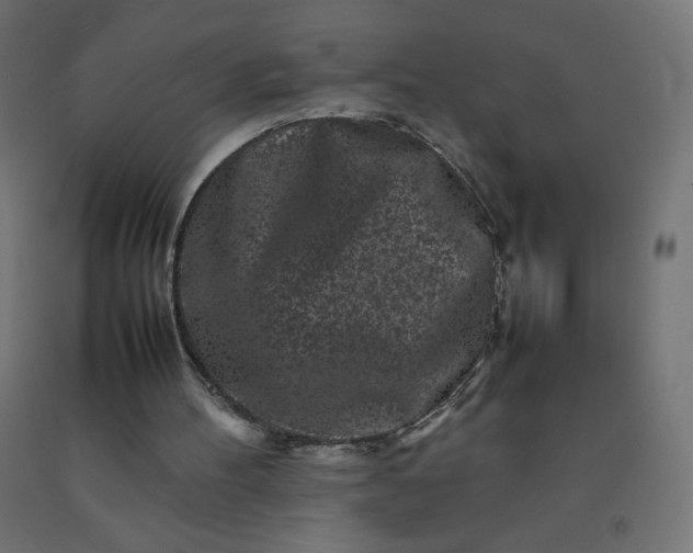 X0000092270100200709281232