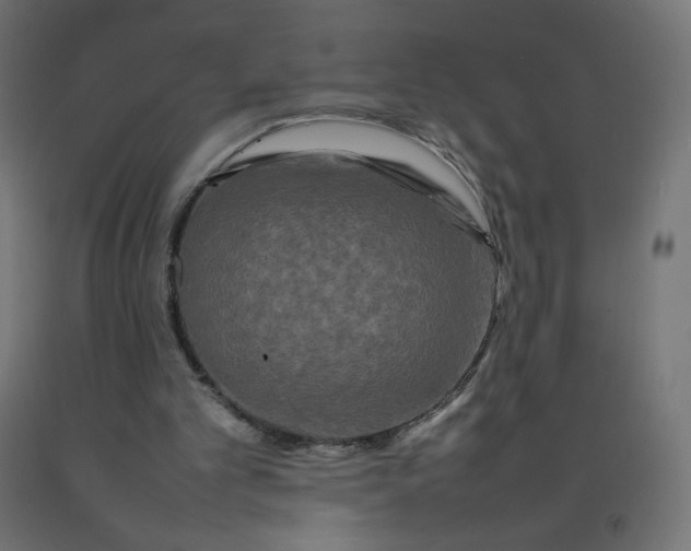 X0000092270101200709281232