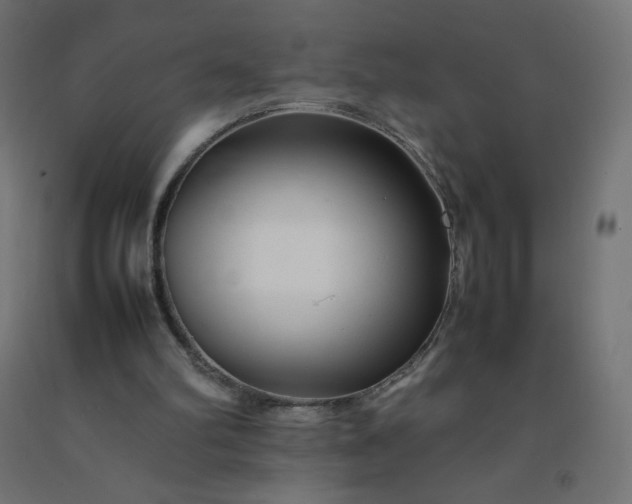 X0000092270102200709281232