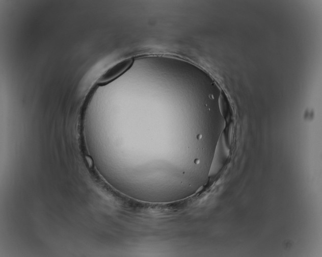 X0000092270103200709281232