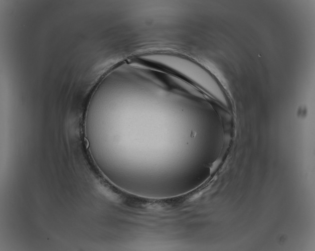 X0000092270105200709281232
