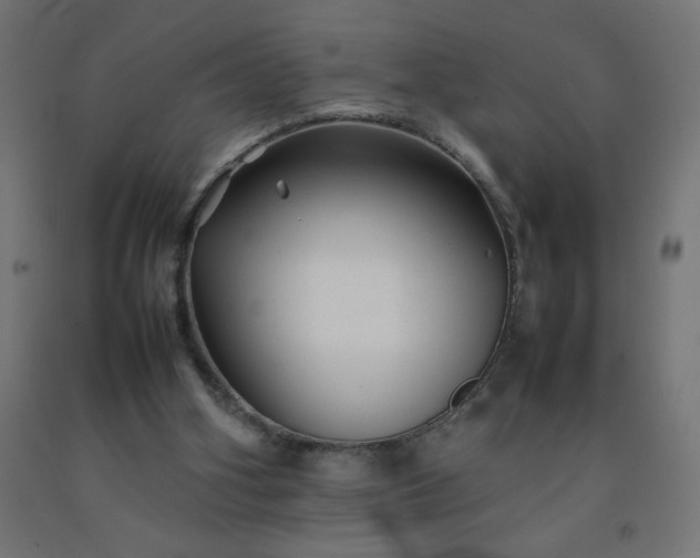X0000092270106200709281232