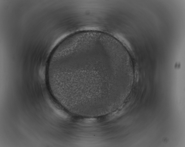 X0000092270108200709281232