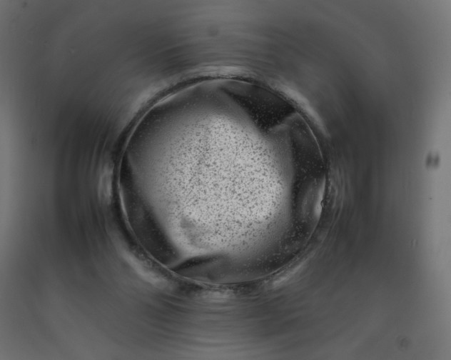 X0000092270110200709281232