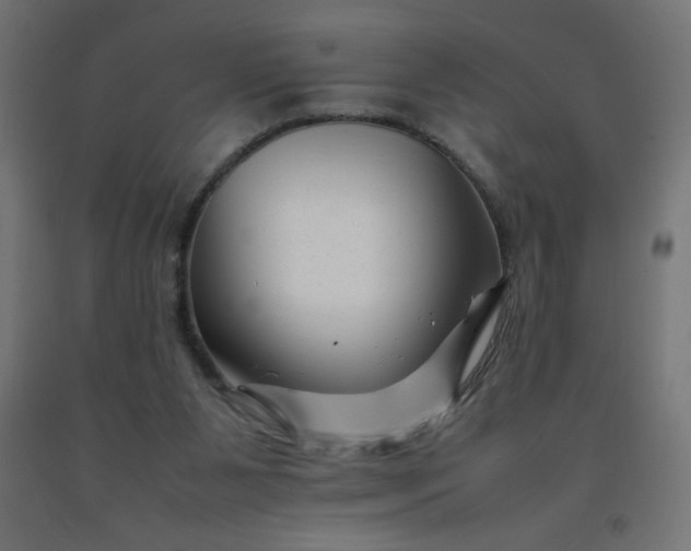 X0000092270111200709281232