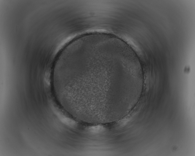 X0000092270112200709281232