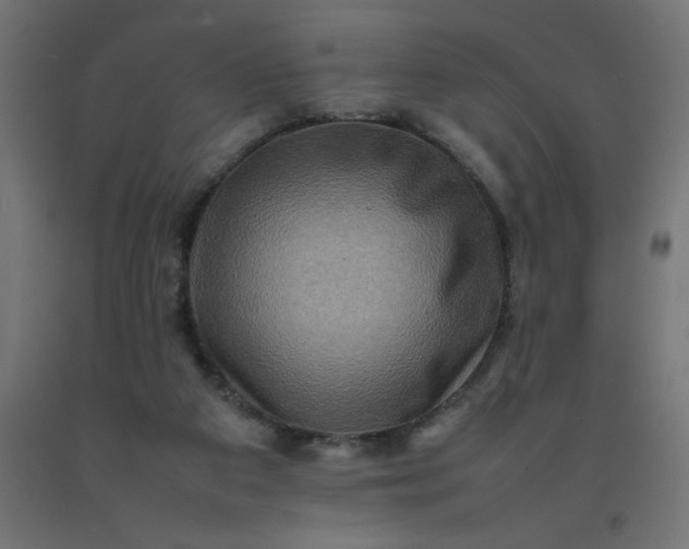 X0000092270113200709281232