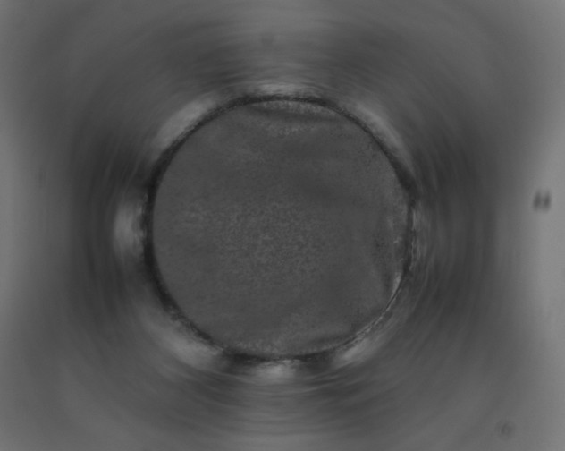 X0000092270116200709281232