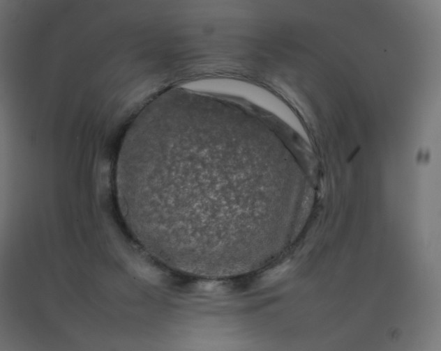 X0000092270117200709281232