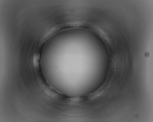 X0000092270118200709281232