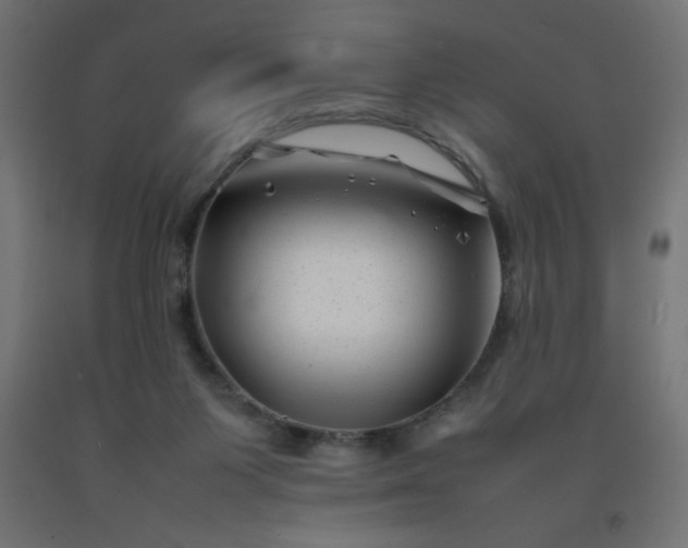 X0000092270119200709281232