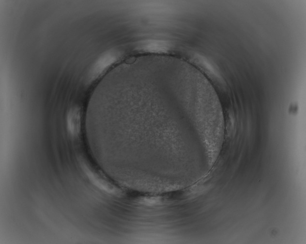 X0000092270120200709281232