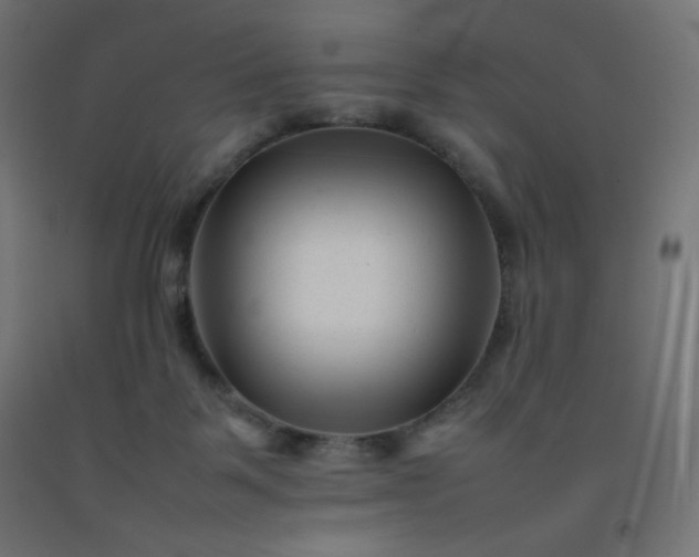 X0000092270123200709281232