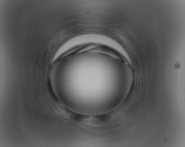X0000092270125200709281232