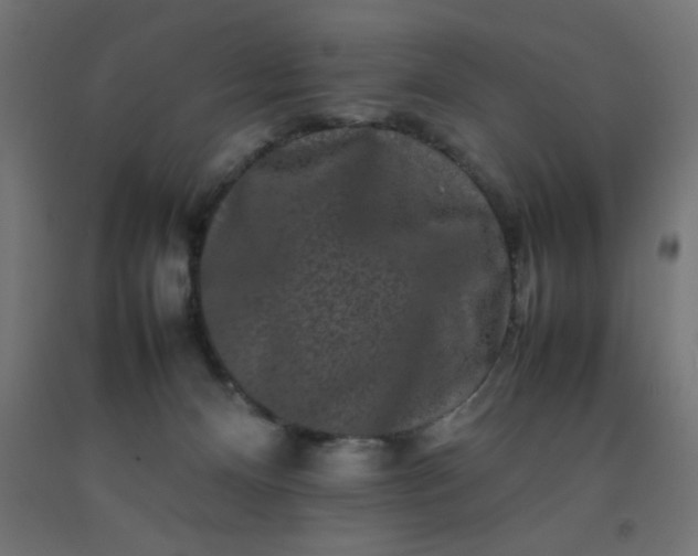 X0000092270128200709281232