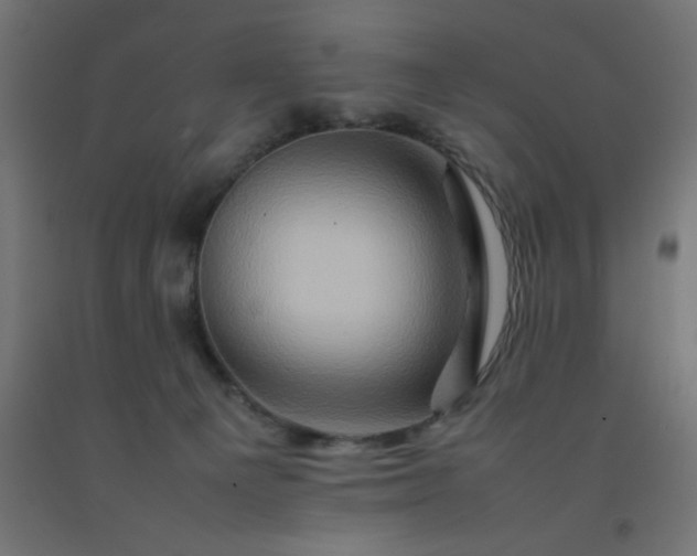X0000092270129200709281232