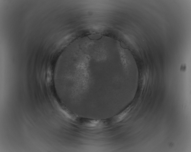 X0000092270130200709281232