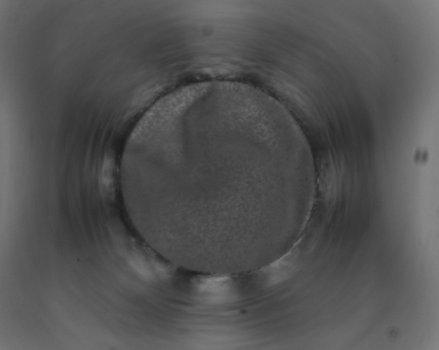X0000092270132200709281232