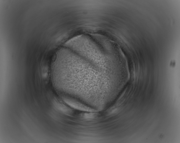 X0000092270134200709281232