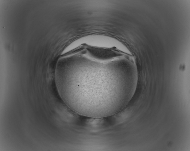 X0000092270135200709281232