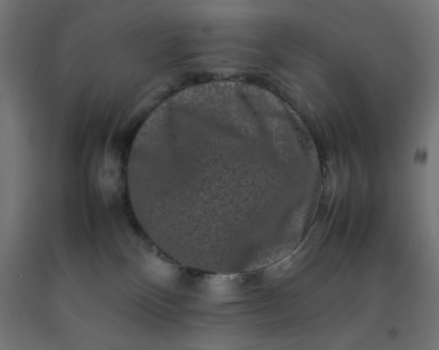 X0000092270136200709281232